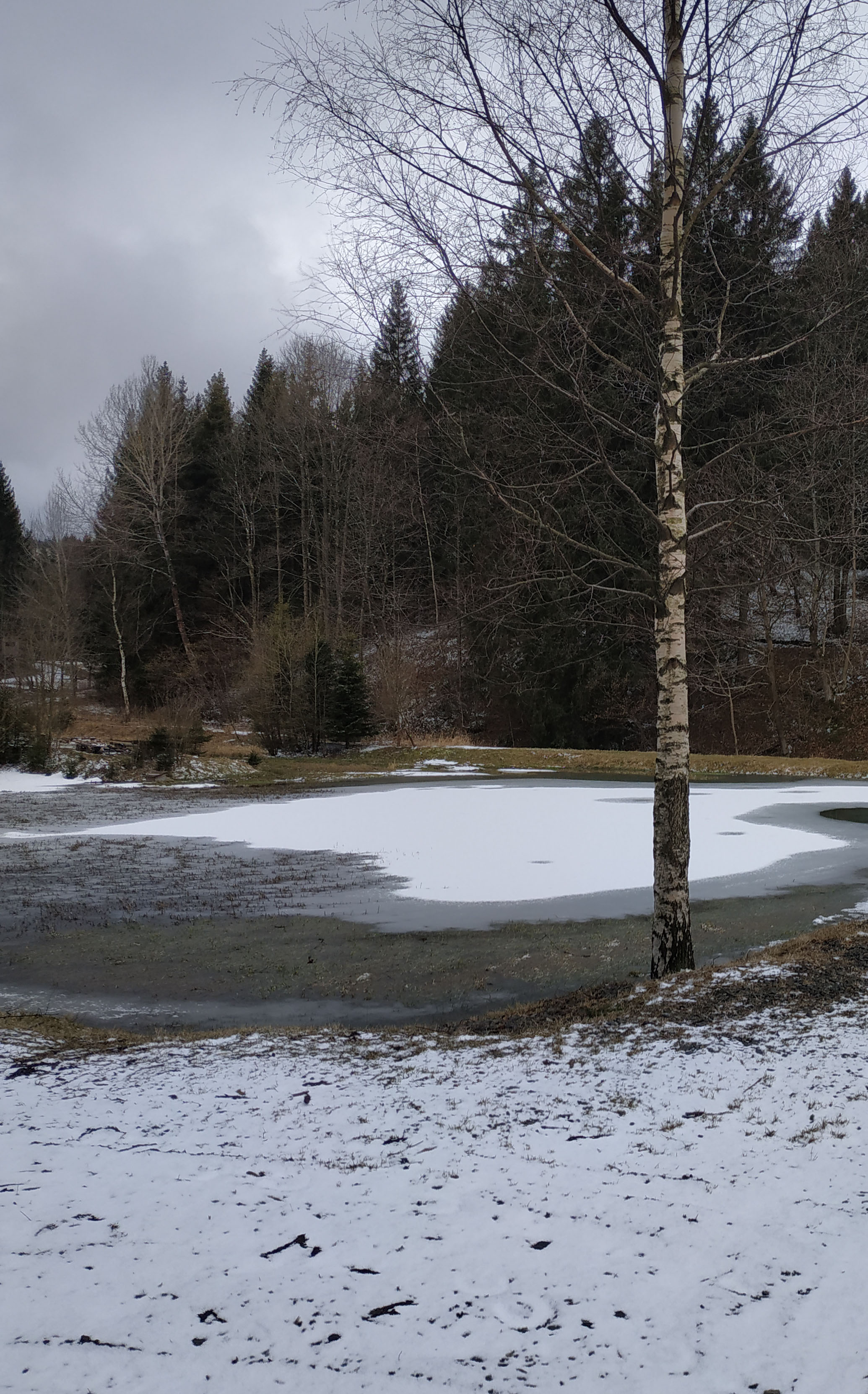 Jezero v kopcích v Heřmanovicích